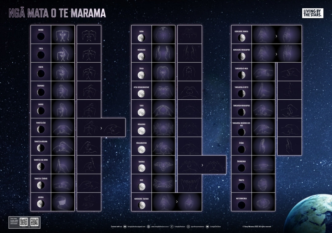 Ngā mata o te Marama - Phases of the Moon (Poster) – livingbythestars